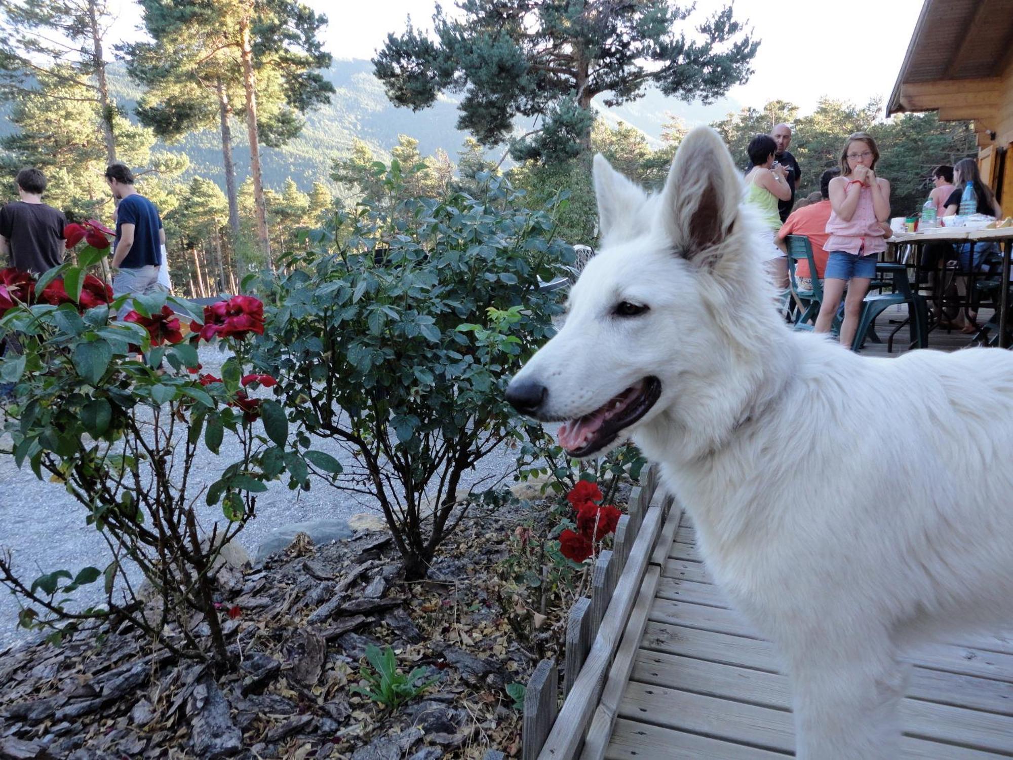 מלון ברסלונט Parc Residentiel De Loisir : Le Loup Blanc Du Riou מראה חיצוני תמונה